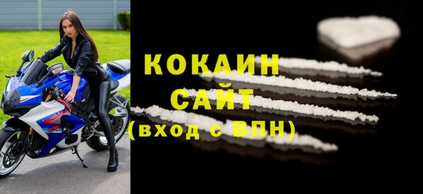 кокс Арсеньев