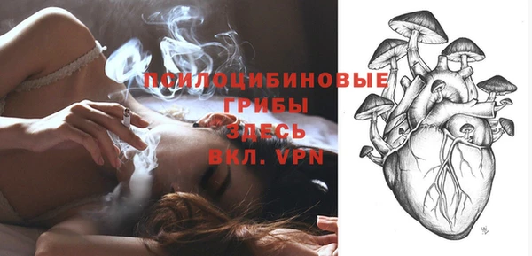 бошки Аркадак