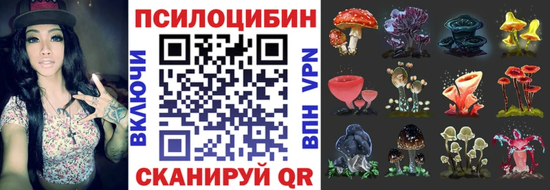 blacksprut онион  Исилькуль  darknet наркотические препараты  Галлюциногенные грибы Cubensis 