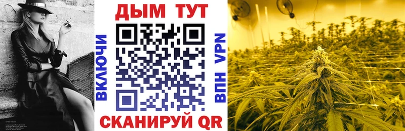 Каннабис Bruce Banner  kraken как зайти  Исилькуль 